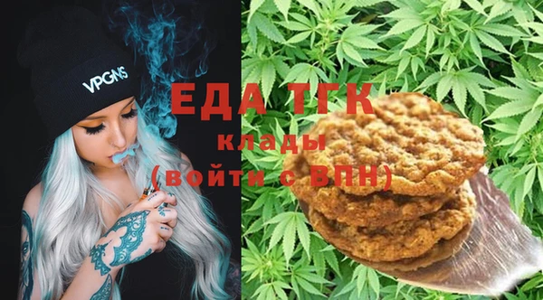 гашик Ельня