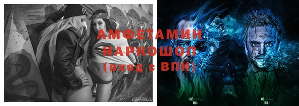 гашик Ельня