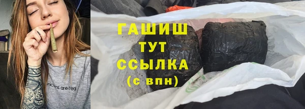 гашик Ельня