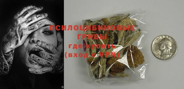 гашик Ельня