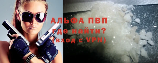 гашик Ельня