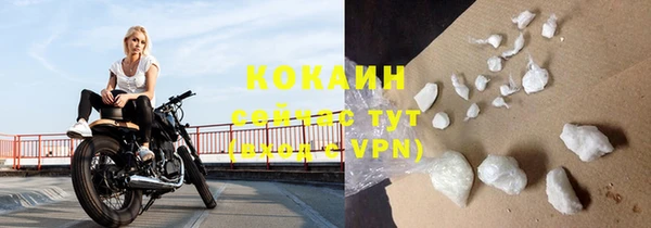 гашик Ельня