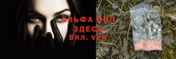 сатива Елизово