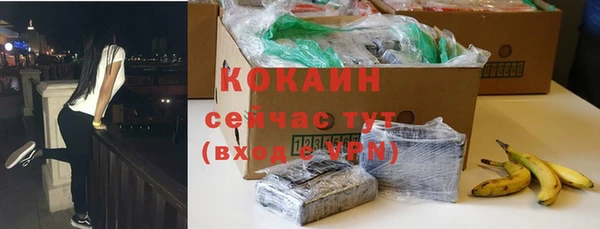 сатива Елизово
