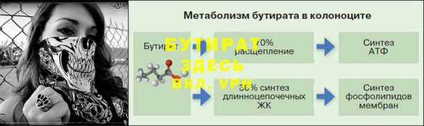 гашик Ельня
