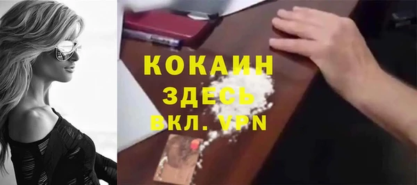 стаф Заводоуковск