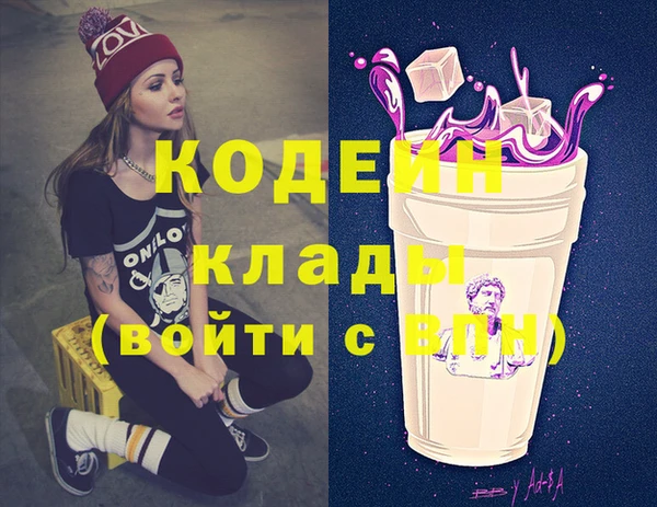 гашик Ельня
