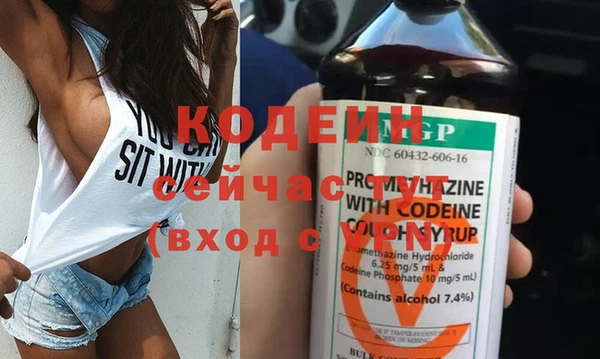 гашик Ельня