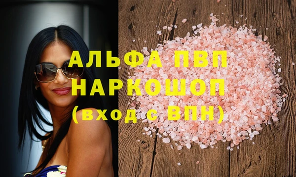 гашик Ельня