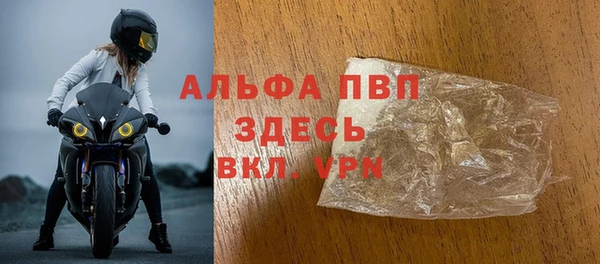 сатива Елизово