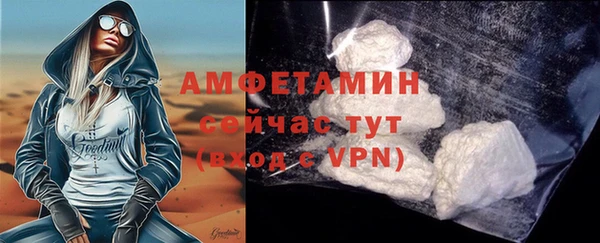 сатива Елизово