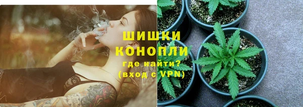 гашик Ельня