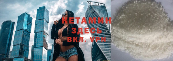 гашик Ельня