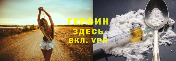 гашик Ельня