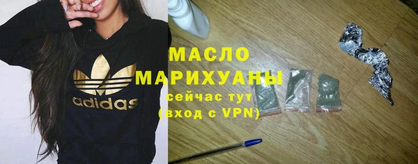 гашик Ельня
