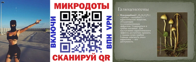 Купить закладки  Звенигово  Псилоцибиновые грибы ЛСД 
